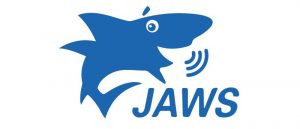 Logiciel de revue d'écran pour aveugle JAWS For Windows