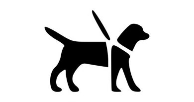 Logo chien-guide d'aveugle