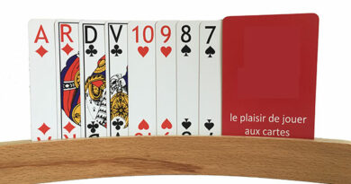 Jeu de 32 cartes agrandies avec braille