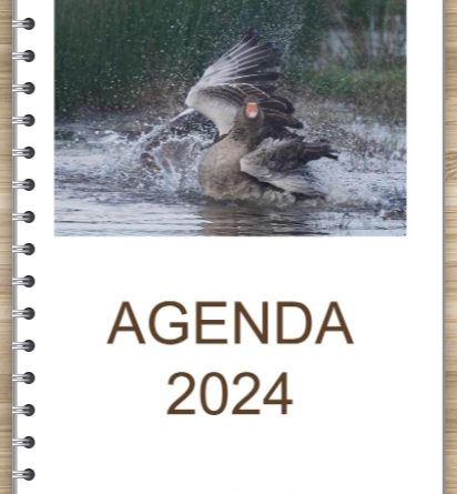 Fwd: Agenda gros caractères 2024