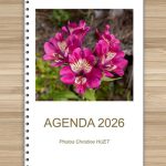 Agenda 2025 pensé pour les personnes malvoyantes