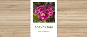Agenda 2025 pensé pour les personnes malvoyantes