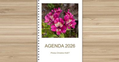 Agenda 2025 pensé pour les personnes malvoyantes