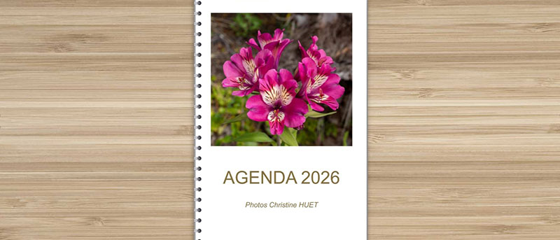 Agenda 2025 pensé pour les personnes malvoyantes