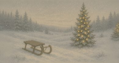 Noël 2025 - Idées cadeaux pour les personnes malvoyantes