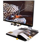 Téléagrandisseur Compact et Ergonomique Mezzo HD Reinecker