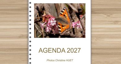 Agenda 2027 : une nouvelle année à organiser en grands caractères
