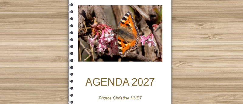 Agenda 2027 : une nouvelle année à organiser en grands caractères