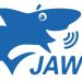 Logiciel de revue d'écran pour aveugle JAWS For Windows